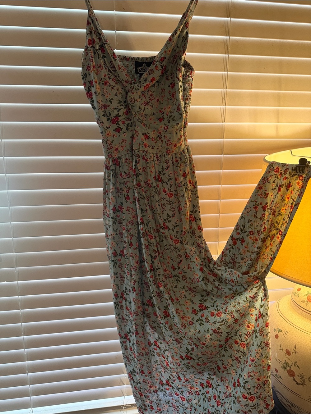 Angie Sage Green Maxi Dress with Red Floral Print